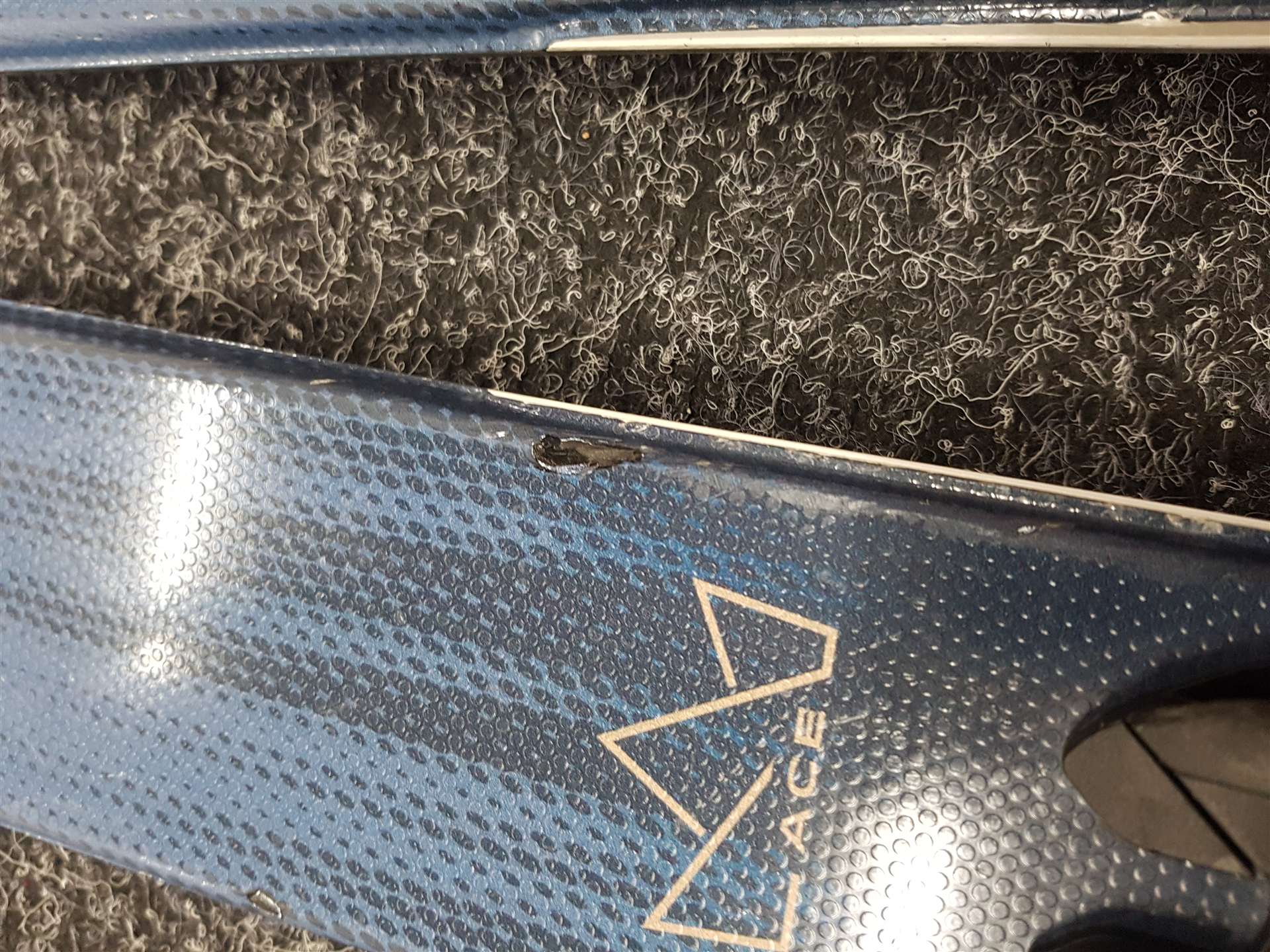 Použité lyže ELAN Ace Pro + viazanie Elan EL 10